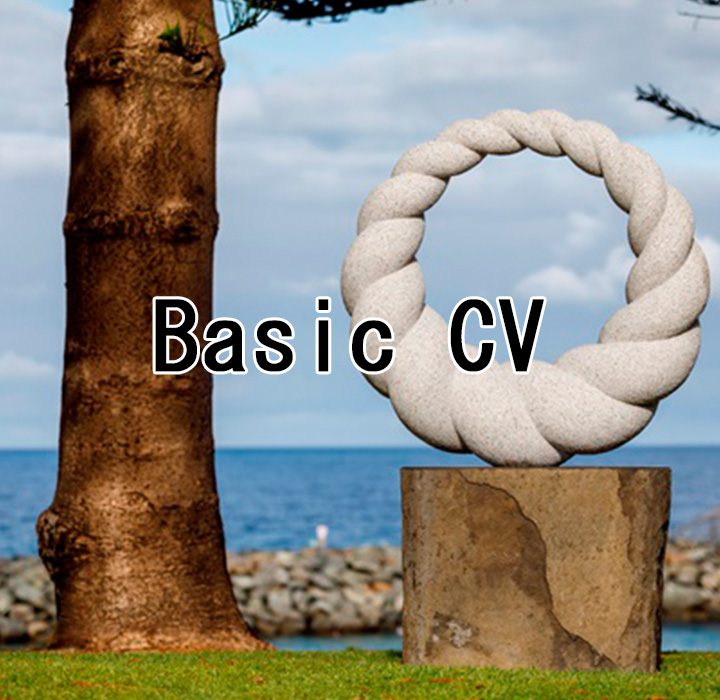 Basic CV