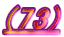 (73)